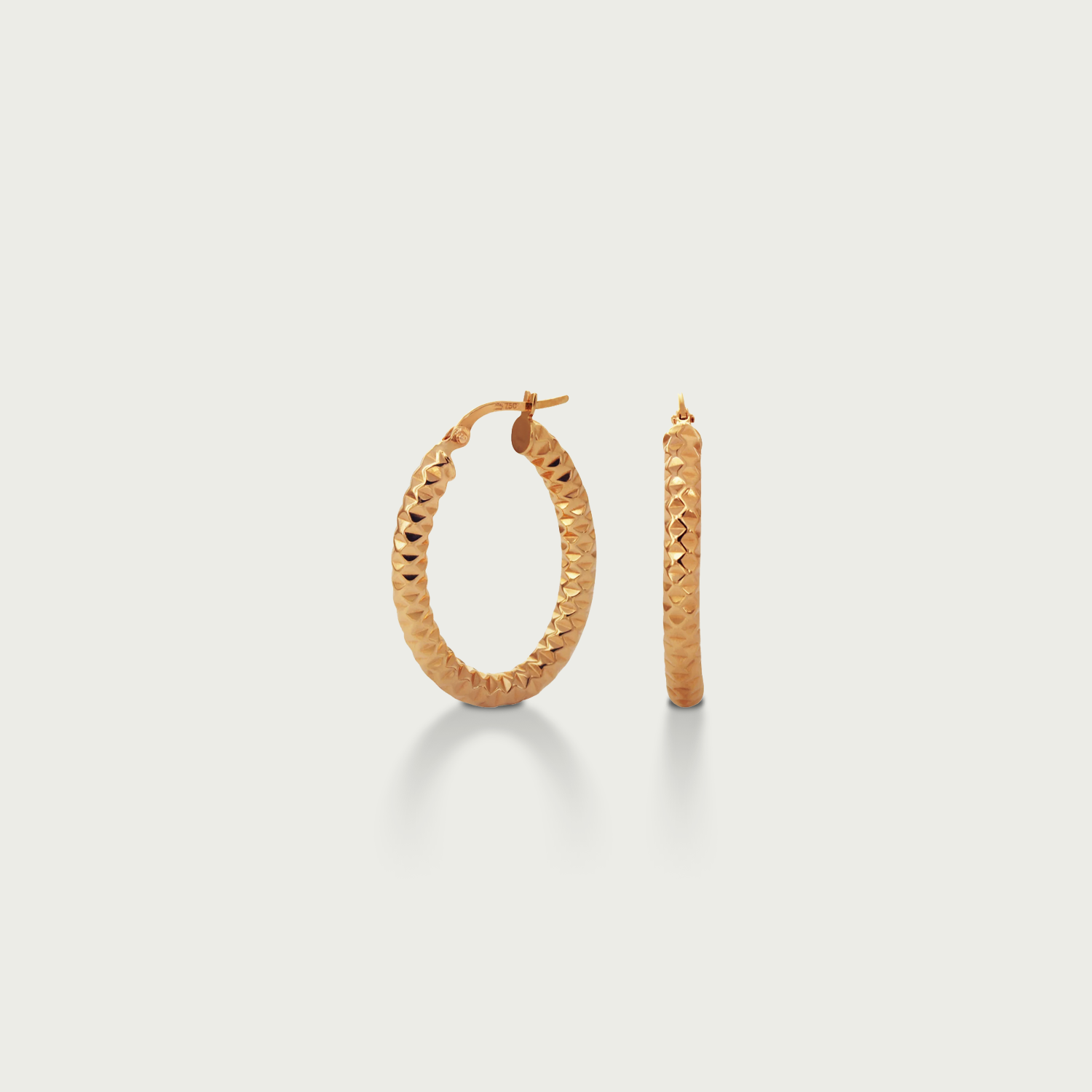 The Style Play Gold Hoop Earrings