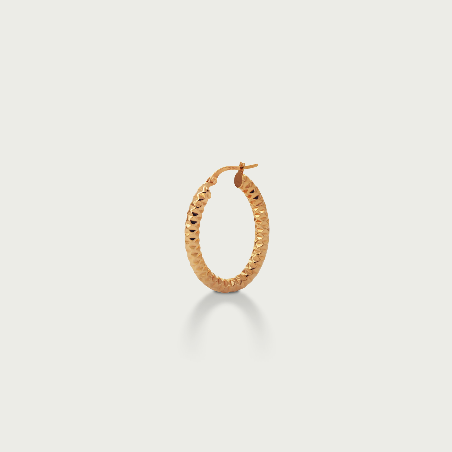The Style Play Gold Hoop Earrings