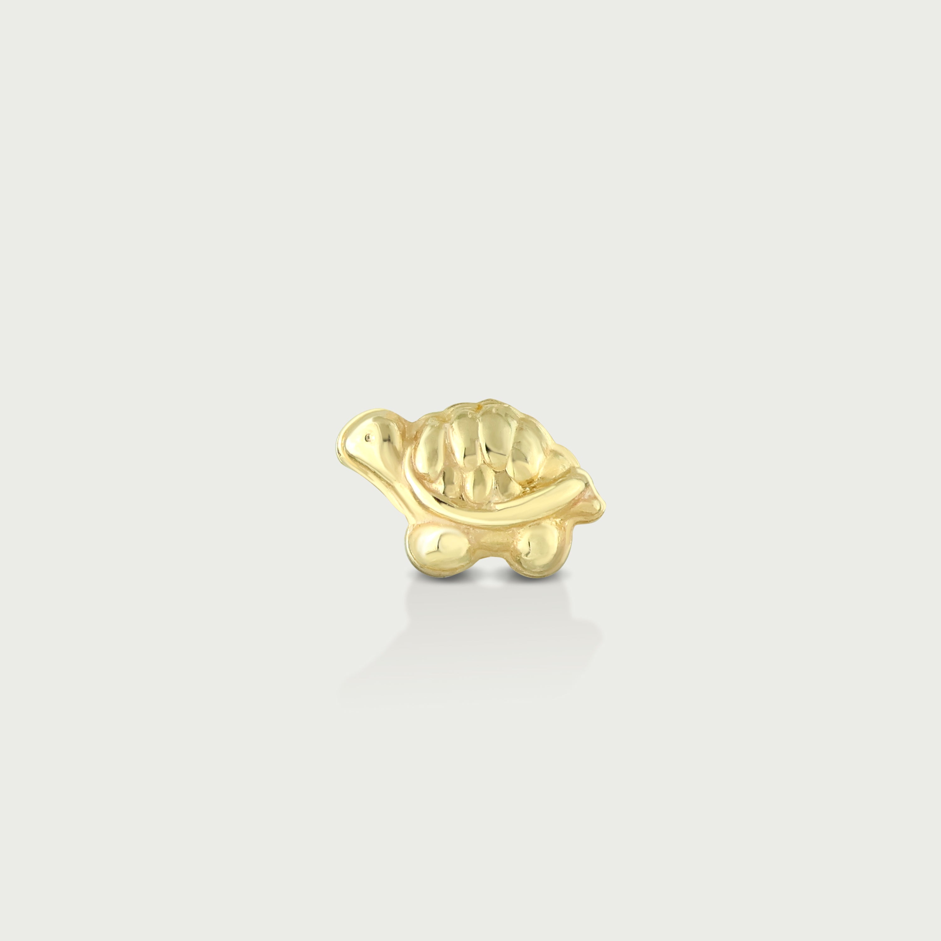 Sea Buddy Turtle Gold Screw Earrings
