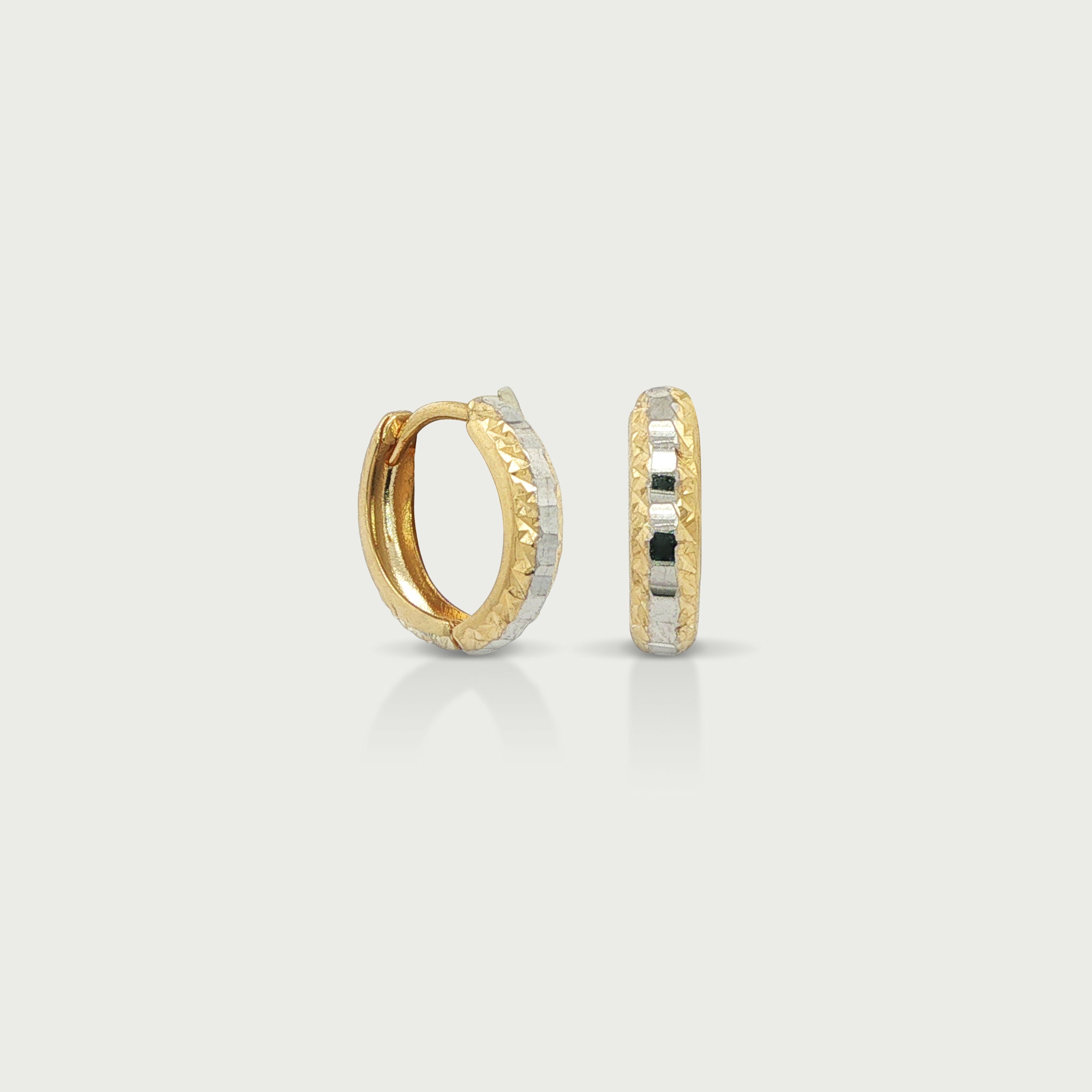 Daily Edit Gold Earrings