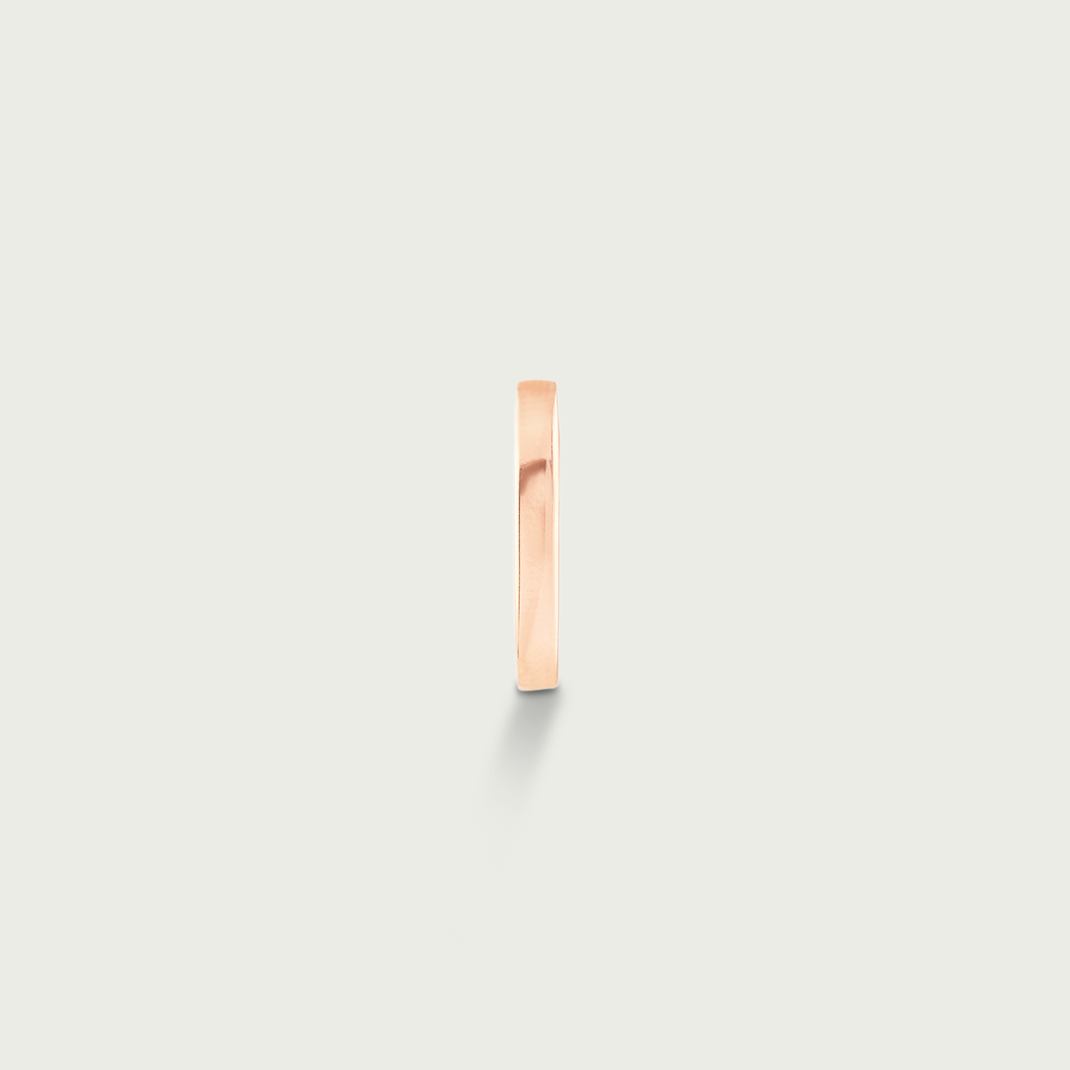 Style in Motion Gold Hoop Earrings