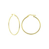 Self Introduction Hoop Earrings