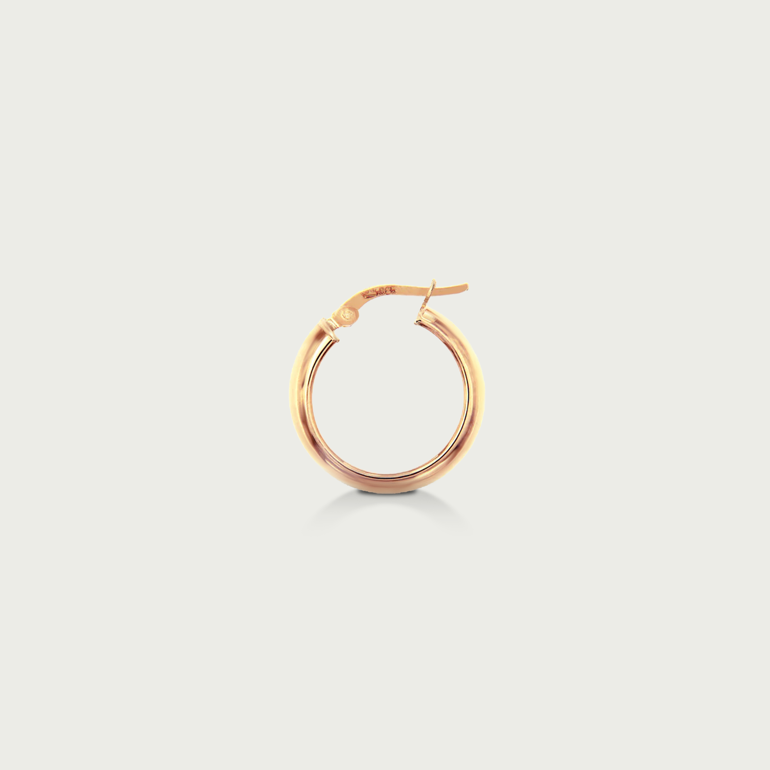 Self Introduction Gold Hoop Earrings