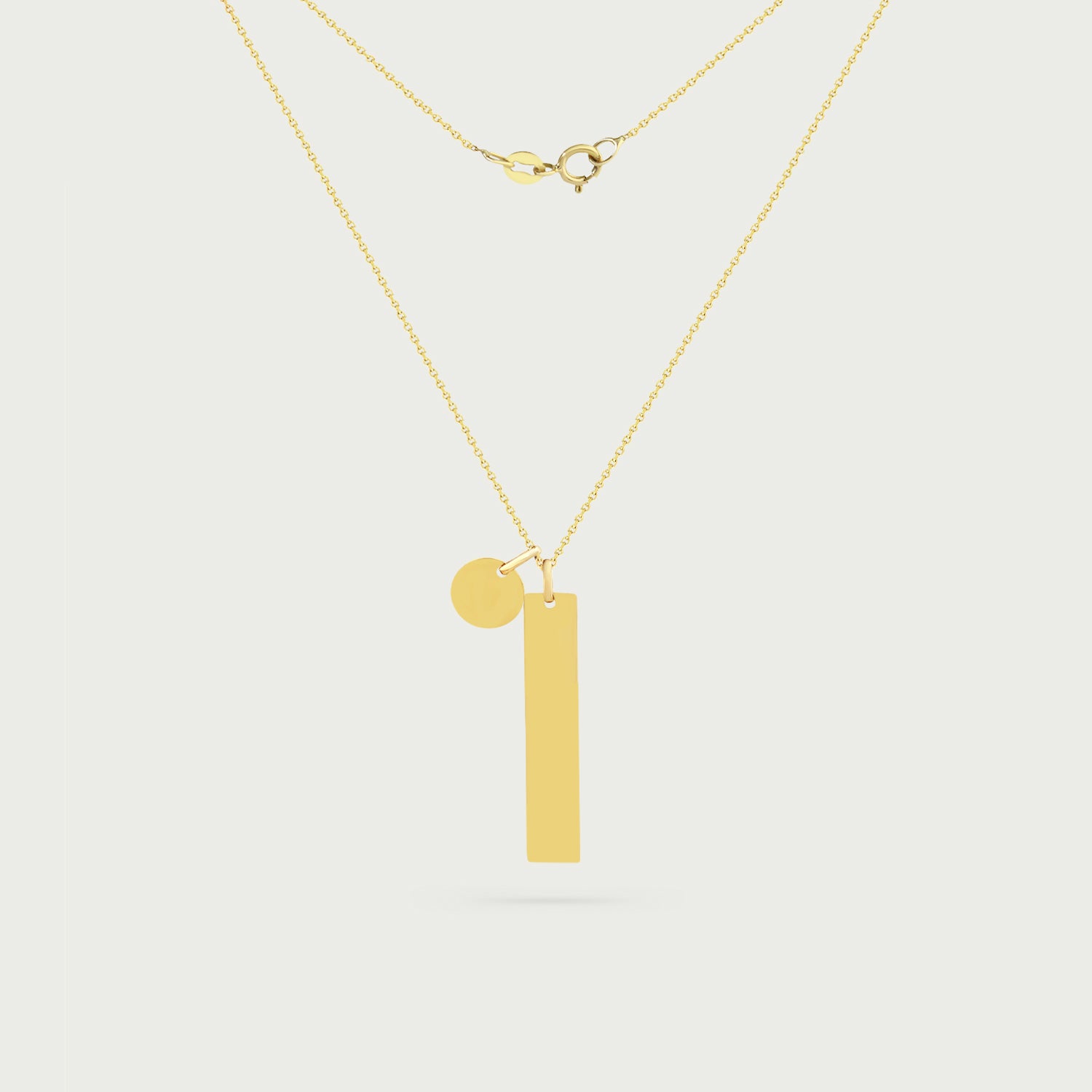 Olivia  Vertical Bar Necklace with Disc Charm
