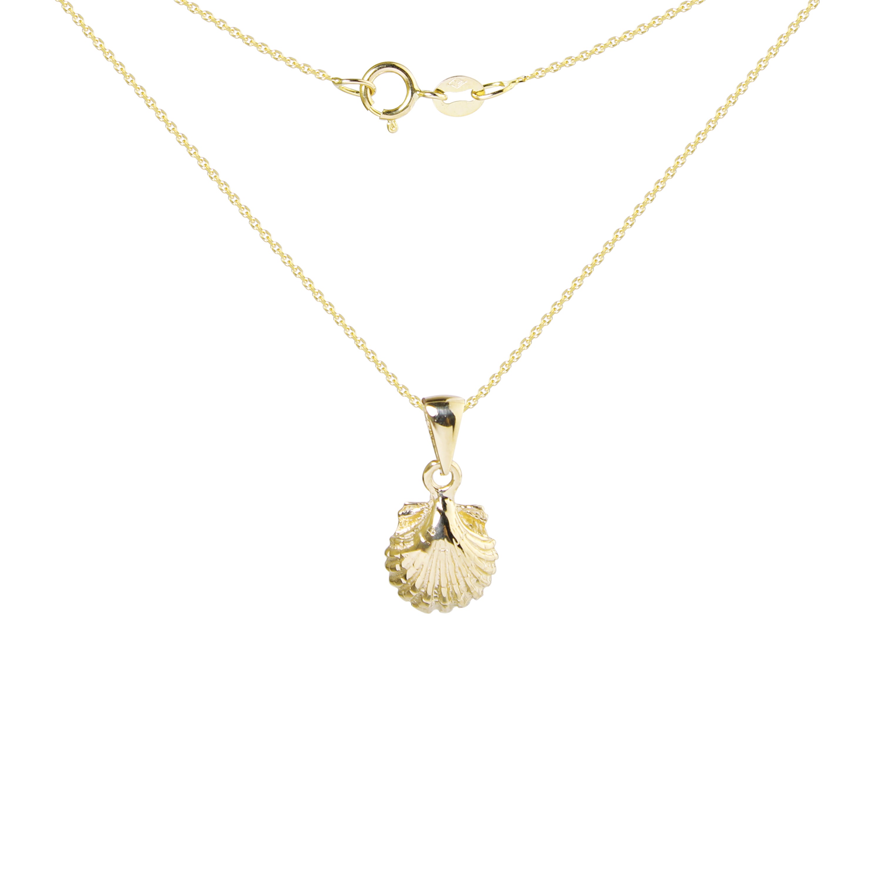 Chasing Sunshine Clam Gold Necklace