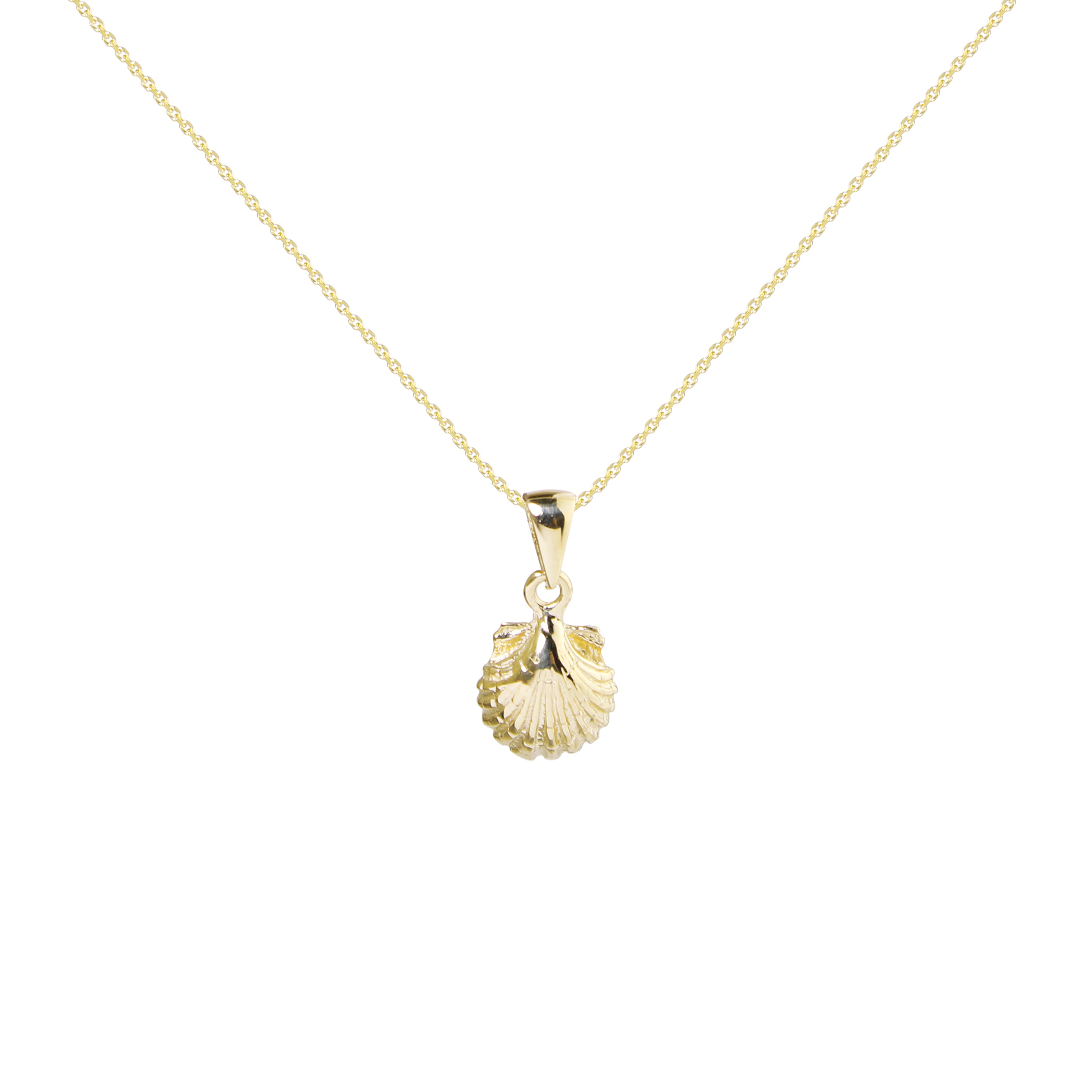 Chasing Sunshine Clam Gold Necklace