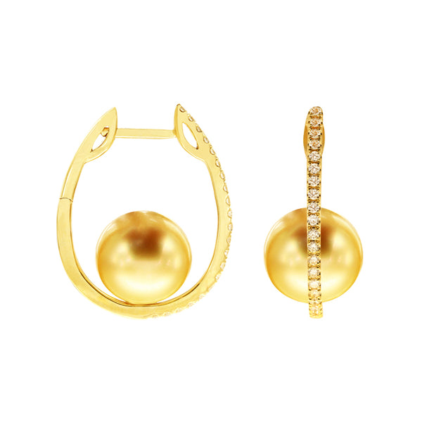 Golden South Sea Pearl Hoops